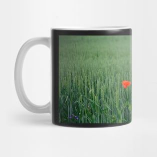 Poppy in Wheat Field Mug